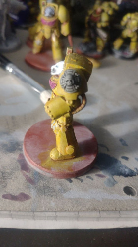 Kamil, Nowa Sól Kamil, Nowa Sól