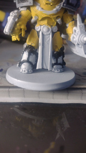 Kamil, Nowa Sól Kamil, Nowa Sól