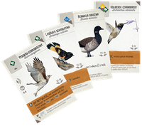 Na skrzydłach - Szybki start