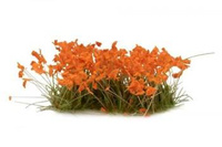 Flowers - Orange Flowers
