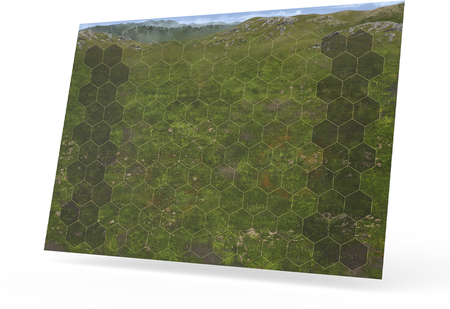 Heroes of Might and Magic III: Pole bitwy