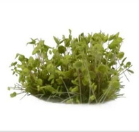 Gamers Grass: Special tufts - 6 mm - Green Shrub (Wild)