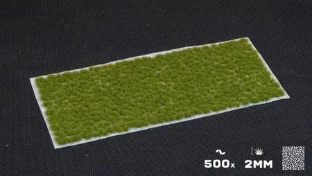 Gamers Grass: Special tufts - 2 mm - Dry Green (Tiny)