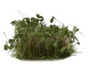 Gamers Grass: Special tufts - 6 mm - Dark Green Shrub (Wild)