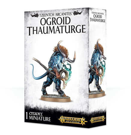 Disciples of Tzeentch: Ogroid Thaumaturge