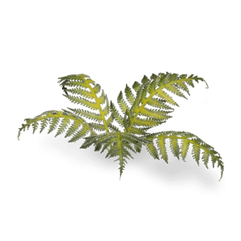 Gamers Grass: Laser Plants - Bracken - Paproć